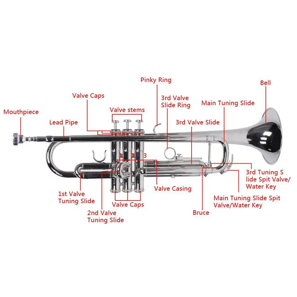 Hot Sale B Flat Silver Bb Trumpet for Concert Band with Case